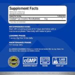 کراتین "ال مکس" Creatine Allmax - Image 2